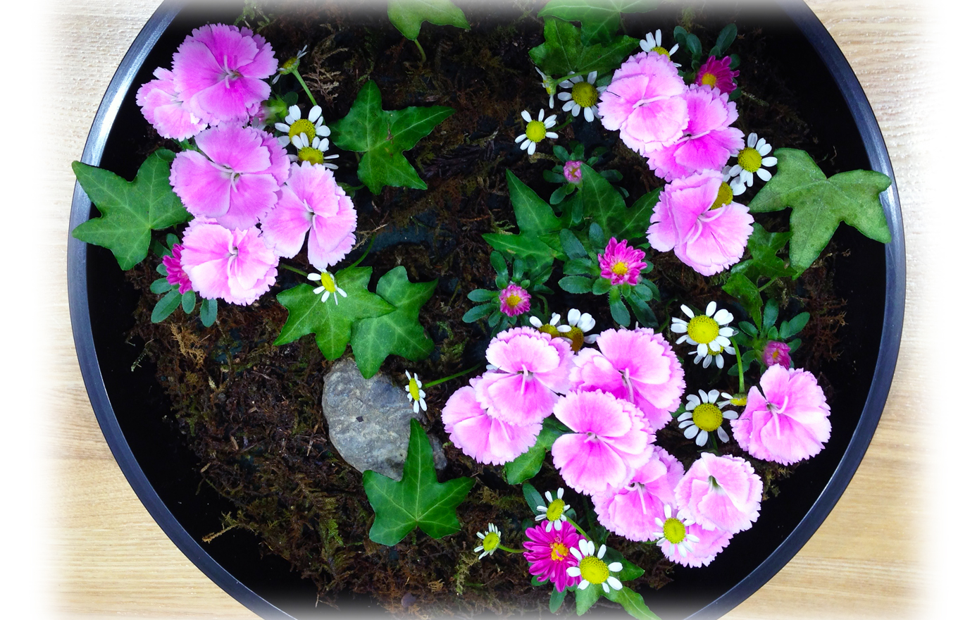 flexbox高さを揃えた画像1